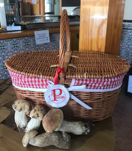 Cesta de picnic con boletus